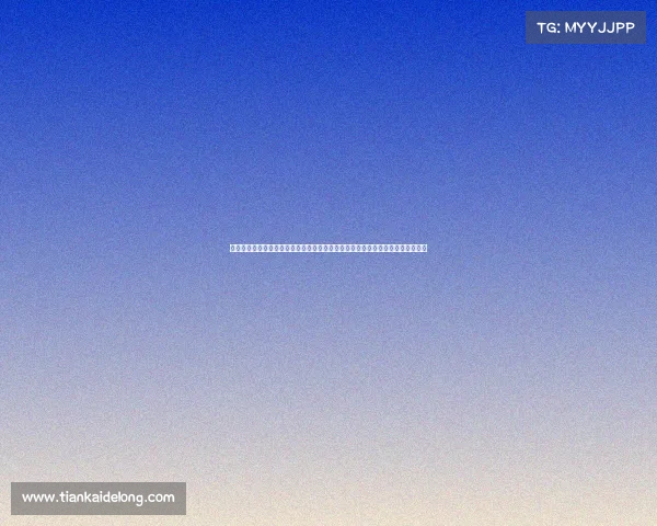 吉利参加拉力赛、吉利以强劲实力角逐世界顶级汽车赛事书写中国品牌辉煌新篇章